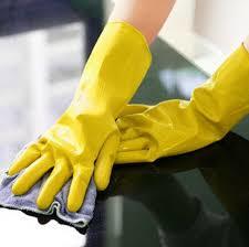 laundry gloves