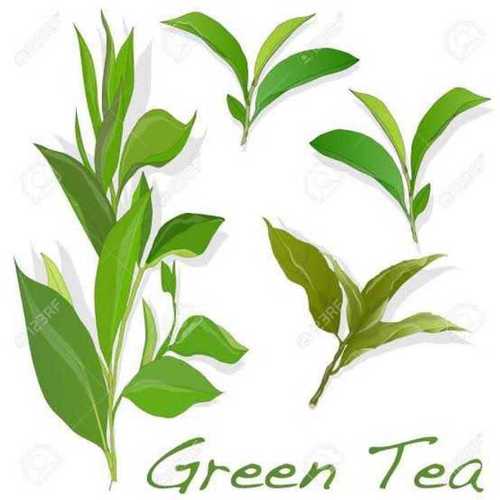 Green tea Hair Growth oil