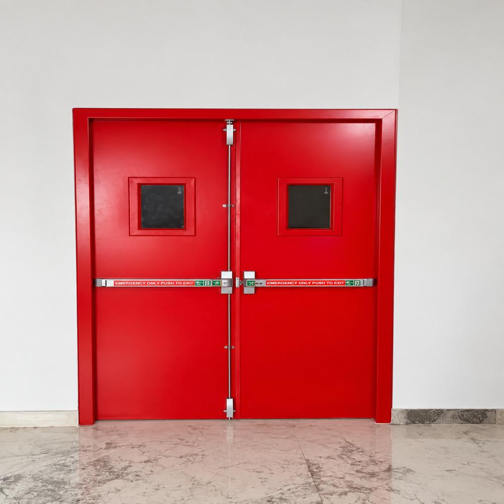 Double Point Panic Exit Device - Application: Commercial