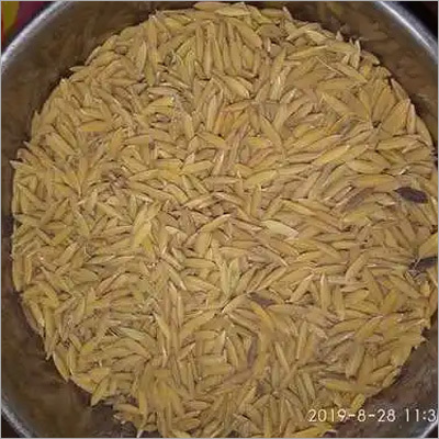 Paddy Paddy