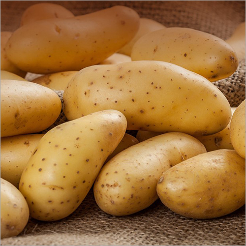 Fresh Potato