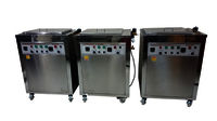 Food Ultrasonic Cleaner