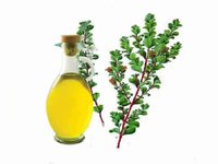 buchu leaf oil