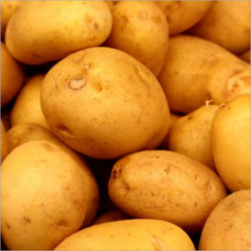 Fresh Potatoes