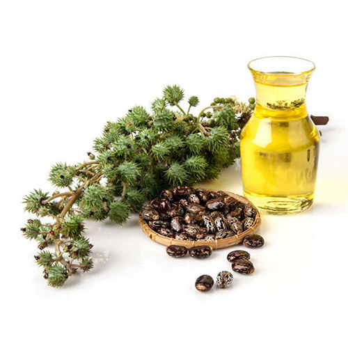 Custer Oil