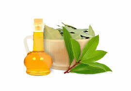 laurel leaf hydrosol