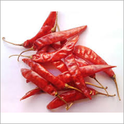 Dried Red Chilli - Hygienically Processed Powder, Spicy Flavor | Shelf Life 4-6 Months, Ideal for Indian Culinary