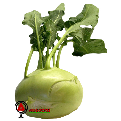 Kohlrabi Cabbage