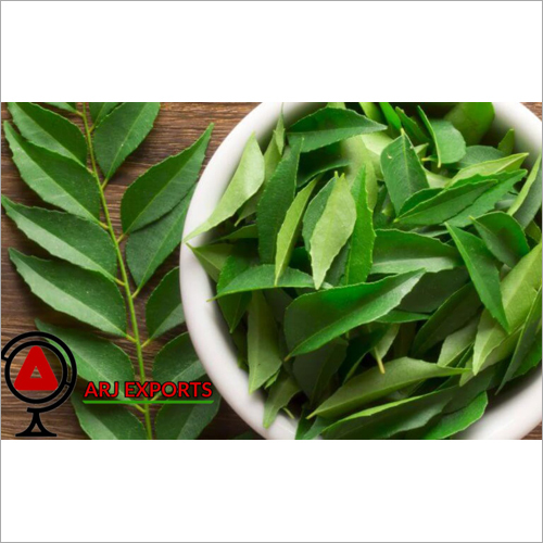 Fresh Curry Leaves