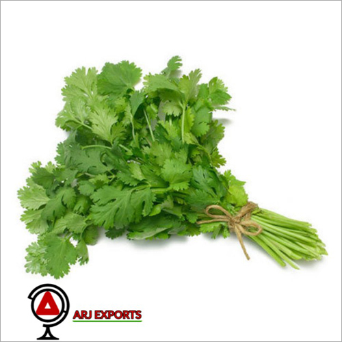 Fresh Coriander Leaves