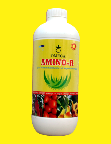 AMINO-R