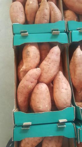 Sweet Potato Moisture (%): 25