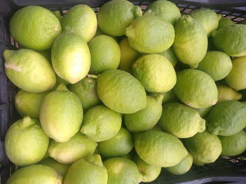 Yellow Fresh Lemon