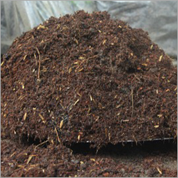 Eco-Friendly Coir Pith Compost Powder