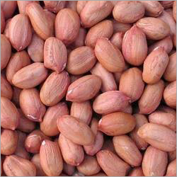 Organic Indian Raw Ground Nuts