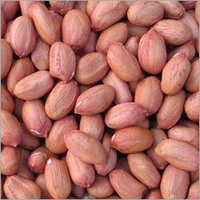 Indian Raw Ground Nuts