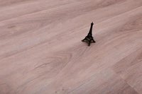 Ageing Resistant Residential Flooring