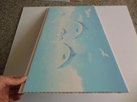 Oil Proof China Manufacturer For Pvc Roofing Sheets