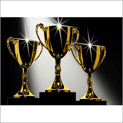 Cup Sports Trophies Size: As Per Requirement