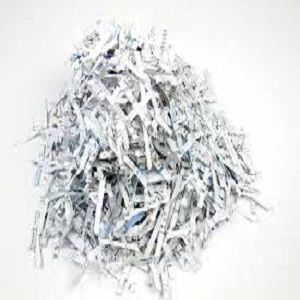 Large Paper Shredder