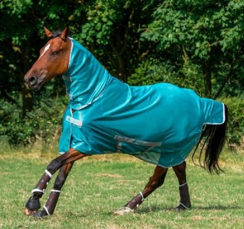 Horse Rugs