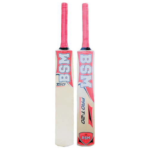 Shimla Willow Pro-20 Painted Cricket Bat