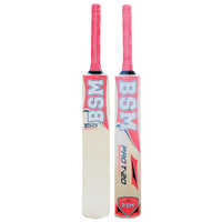 Shimla Willow Pro-20 Painted Cricket Bat