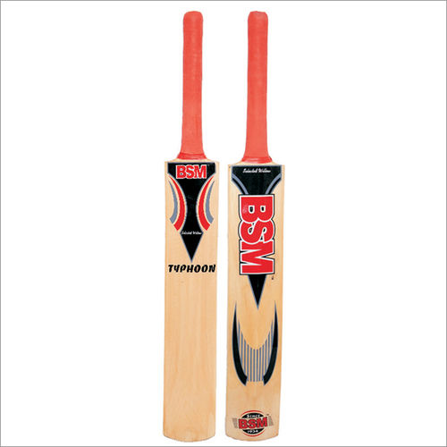 Shimla Willow Typhoon Cricket Bat