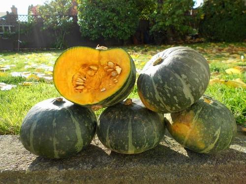 Pumpkin