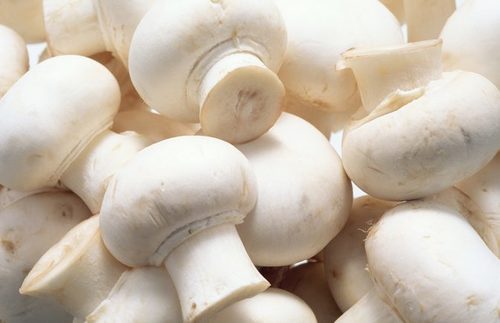 Mushroom