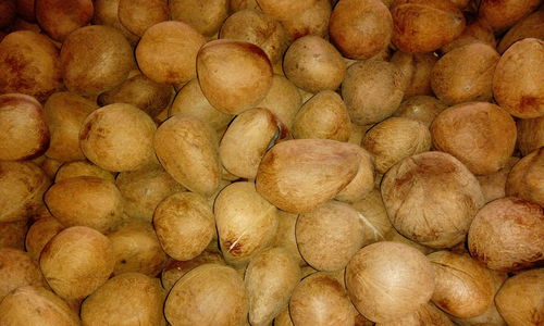 Ball Copra