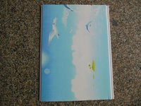 Acoustic False Ceiling Pvc Panels