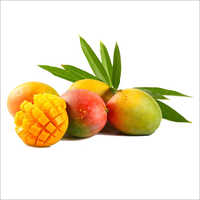 Alphonso Fresh Mango