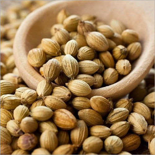 Coriander Seed