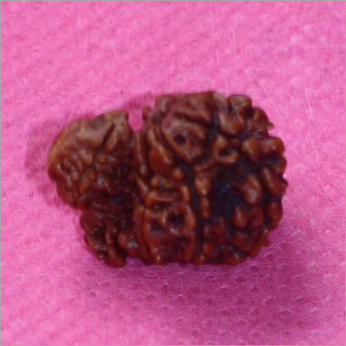 Rudraksha With Sabar