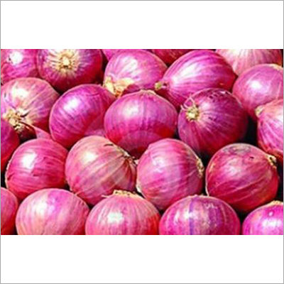 Fresh Onion