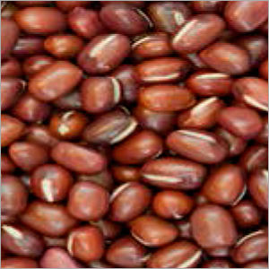 Anzuki Beans