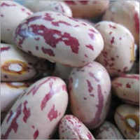 White Speckle Kidney Beans