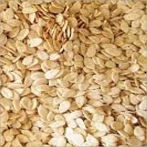 Melon Seeds