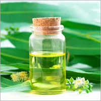 Natural Eucalyptus Oil