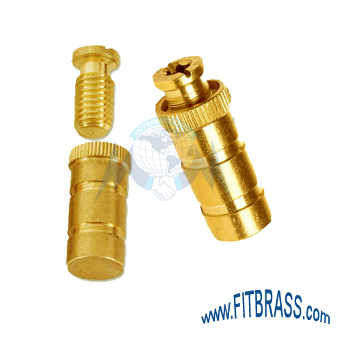 Brass Pool Cover Anchors
