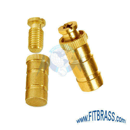 Brass Pool Cover Anchors