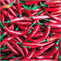 Red Chilli