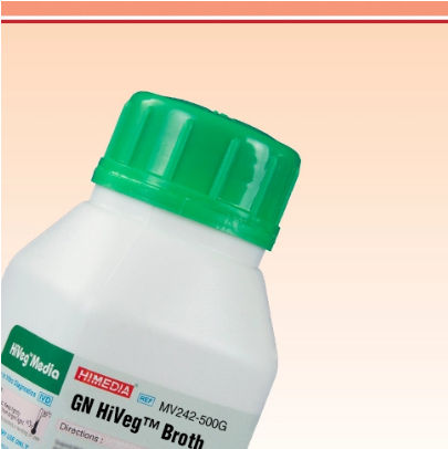 GN Hiveg Broth MV242-500G