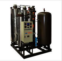 ZNC Carbon Nitrogen Purification Equipment