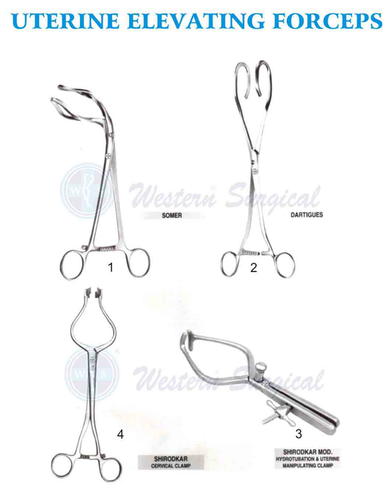 Uterine Elevating forceps