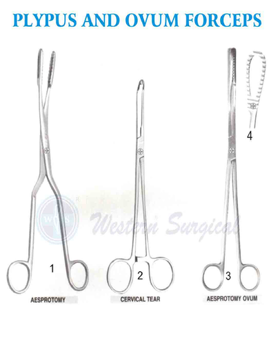 Plypus and ovum forceps By WESTERN SURGICAL