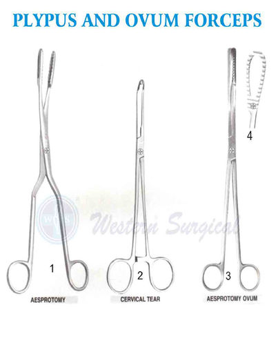 Plypus and ovum forceps