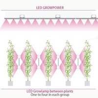 LED Growlamp between Plants