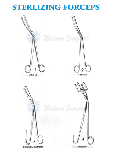 Sterizing Forceps By WESTERN SURGICAL